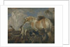 The Creation, Mid of 17th cen by Giovanni Benedetto Castiglione