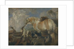 The Creation, Mid of 17th cen by Giovanni Benedetto Castiglione