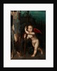 Cupid with a myrtle, before 1593 by Aurelio Luini