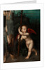 Cupid with a myrtle, before 1593 by Aurelio Luini