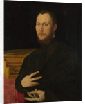 Portrait of a Musician, c. 1565 by Bernardino Campi