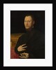 Portrait of a Musician, c. 1565 by Bernardino Campi