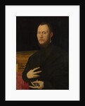 Portrait of a Musician, c. 1565 by Bernardino Campi