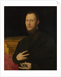 Portrait of a Musician, c. 1565 by Bernardino Campi