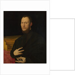 Portrait of a Musician, c. 1565 by Bernardino Campi
