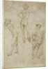 Two male figure studies and Saint Peter, 1430-1435 by Antonio Pisanello