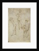 Two male figure studies and Saint Peter, 1430-1435 by Antonio Pisanello
