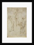 Two male figure studies and Saint Peter, 1430-1435 by Antonio Pisanello