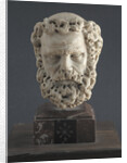 Head of a bearded Man, 1312-1314 by Giovanni Pisano