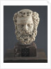 Head of a bearded Man, 1312-1314 by Giovanni Pisano