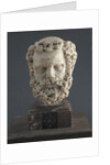 Head of a bearded Man, 1312-1314 by Giovanni Pisano