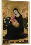 The Virgin and Child with Angels (Madonna of Humility), Mid of the 15th cen by Sano di Pietro