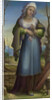 Marcia, c. 1519 by Domenico Beccafumi