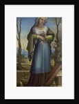 Marcia, c. 1519 by Domenico Beccafumi