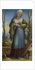 Marcia, c. 1519 by Domenico Beccafumi