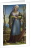 Marcia, c. 1519 by Domenico Beccafumi