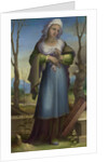Marcia, c. 1519 by Domenico Beccafumi