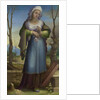 Marcia, c. 1519 by Domenico Beccafumi
