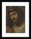 Head of Christ, c.1540 by Sodoma