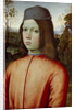 Portait of a Boy, c. 1500 by Bernardino Pinturicchio