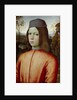 Portait of a Boy, c. 1500 by Bernardino Pinturicchio