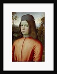 Portait of a Boy, c. 1500 by Bernardino Pinturicchio