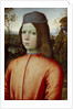 Portait of a Boy, c. 1500 by Bernardino Pinturicchio