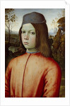 Portait of a Boy, c. 1500 by Bernardino Pinturicchio