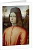 Portait of a Boy, c. 1500 by Bernardino Pinturicchio