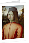 Portait of a Boy, c. 1500 by Bernardino Pinturicchio