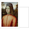 Portait of a Boy, c. 1500 by Bernardino Pinturicchio