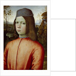 Portait of a Boy, c. 1500 by Bernardino Pinturicchio