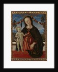 The Virgin and Child, c. 1473 by Fiorenzo di Lorenzo