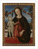 The Virgin and Child, c. 1473 by Fiorenzo di Lorenzo