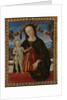 The Virgin and Child, c. 1473 by Fiorenzo di Lorenzo