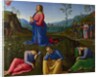 The Agony in the Garden, c. 1502-1503 by Lo Spagna
