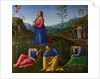 The Agony in the Garden, c. 1502-1503 by Lo Spagna