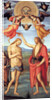Baptism of Christ, c. 1512 by Perugino