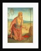 Saint Jerome, c. 1512 by Perugino