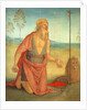 Saint Jerome, c. 1512 by Perugino