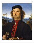 Portrait of Francesco delle Opere, 1494 by Perugino