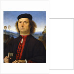 Portrait of Francesco delle Opere, 1494 by Perugino