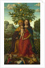 The Virgin and Child with Saint Anne, ca 1510-1520 by Girolamo dai Libri