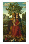 The Virgin and Child with Saint Anne, ca 1510-1520 by Girolamo dai Libri