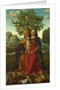 The Virgin and Child with Saint Anne, ca 1510-1520 by Girolamo dai Libri