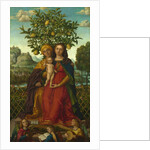 The Virgin and Child with Saint Anne, ca 1510-1520 by Girolamo dai Libri