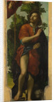 Saint Roch, 1518 by Paolo Morando