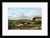 The Castle of Schlosshof seen from north, Between 1758 and 1761 by Bernardo Bellotto