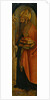 Saint Augustine, 1480s by Carlo Crivelli