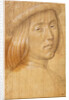 Head of a Youth by Lorenzo di Credi